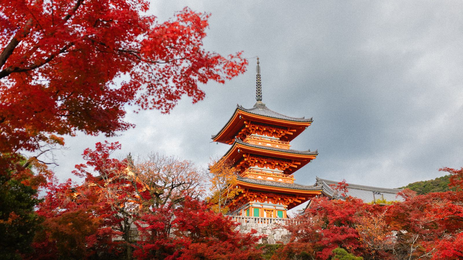 京都清水寺的秋季紅葉,日本賞楓季的代表景色